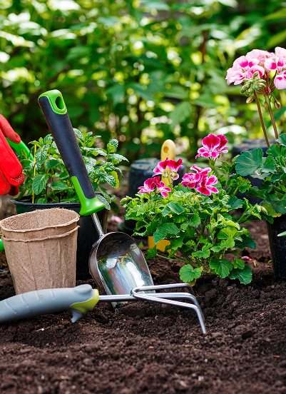 Baner: Ogród - Nawozy ekologiczne